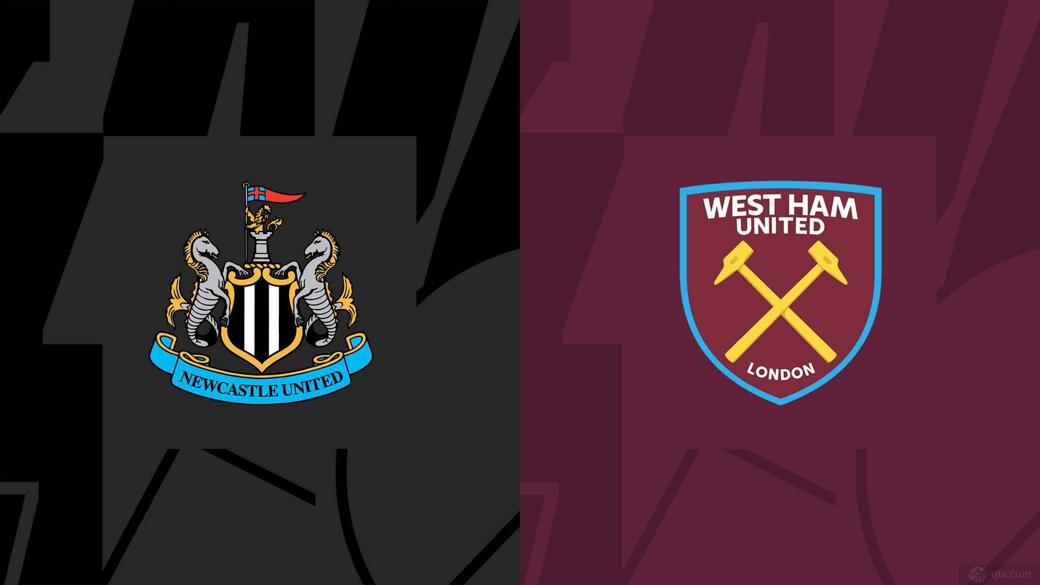 全面展示了 全面展示了